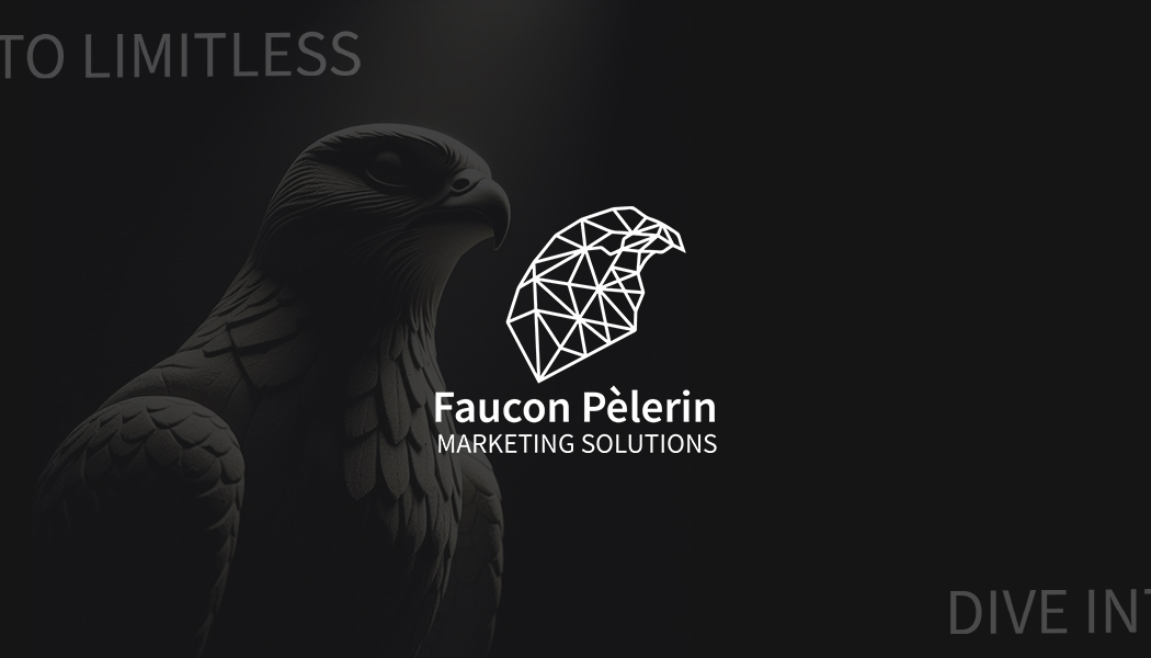 faucon pelerin marketing solutions